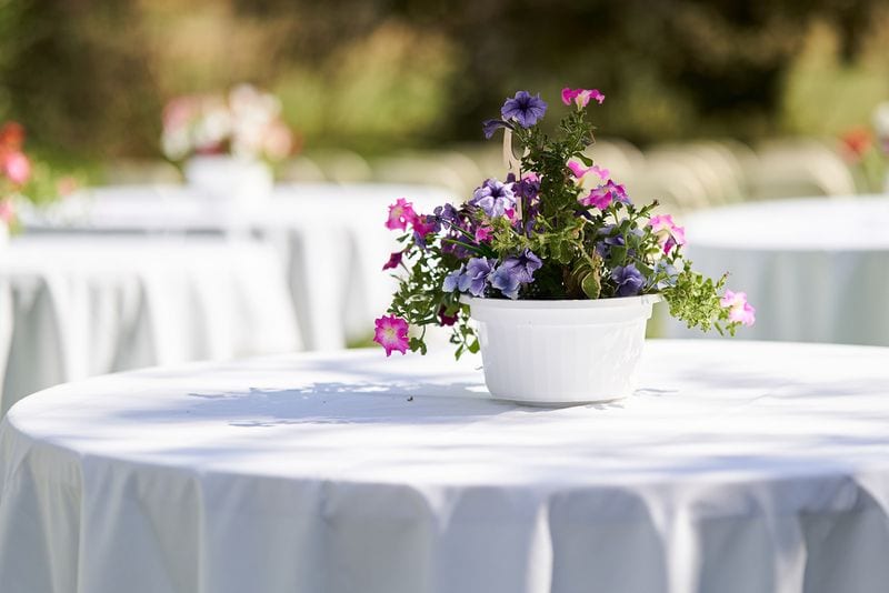 Meryl + Augustin wedding — details