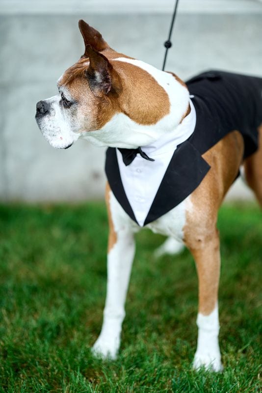 Noelle + Richie wedding — bride + groom