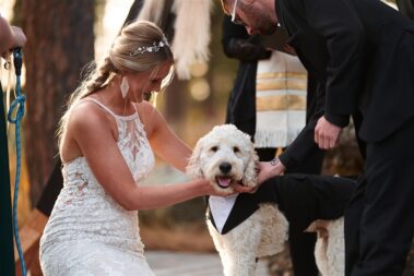 incorporate your dog during wedding ceremony at black hills receptions wedding